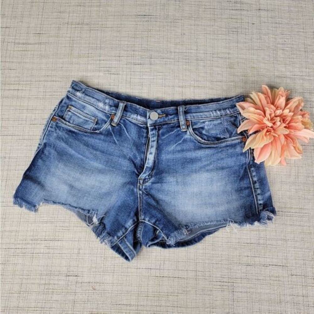 BLANKNYC The Astor Cutoff Denim Shorts 25